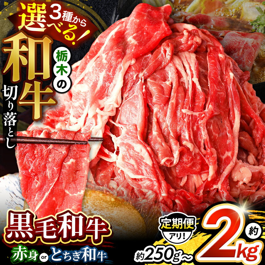 楽天限定 限定 訳あり 選べる 定期便 とちぎ和牛 黒毛和牛 和牛 切り落とし 切り落し 栃木県産 牛肉 赤身 ローススライス ｜ 1回 3回 6回 12回 お取り寄せ すき焼き しゃぶしゃぶ 500g 1kg 2kg | 特産品 ご家庭向け 人気 安い 贈答用 お買い得 数量限定