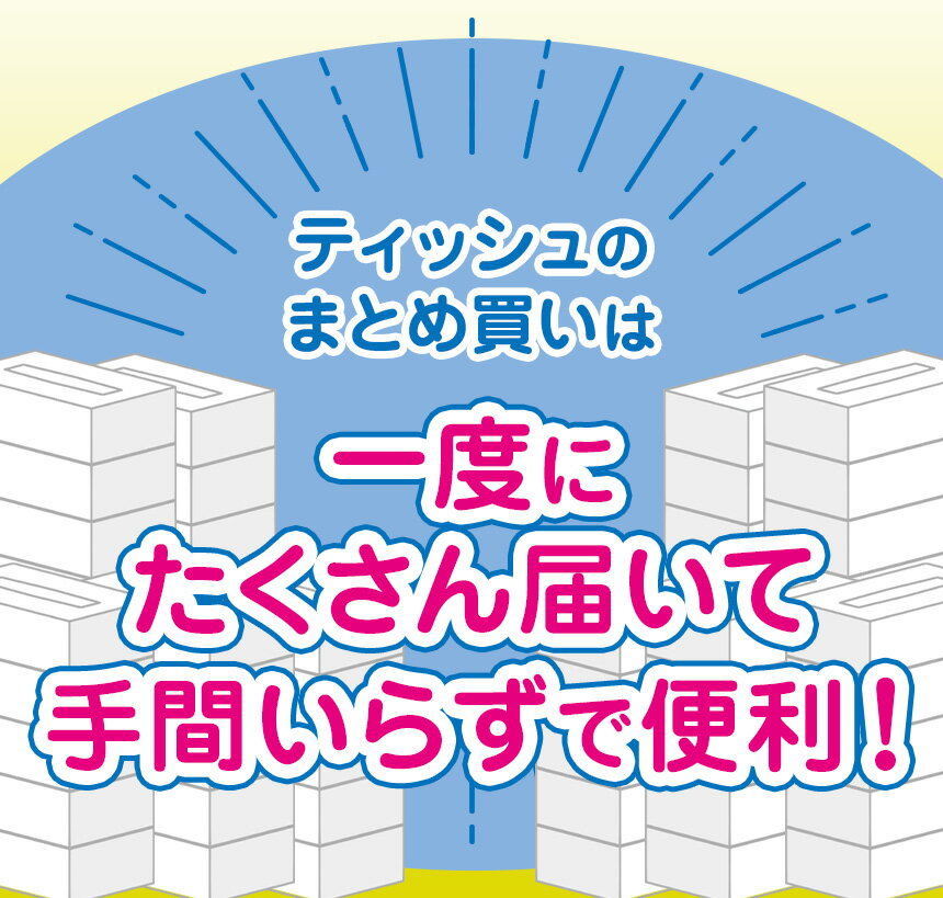 【ふるさと納税】 ティッシュ 60箱 30箱 選べる箱数 【最短翌日発送】ピュアパルプ100% | ティッシュペーパー 真岡市 オリジナル SL もおかぴょん 150組 300枚 ボックスティッシュ 日用品 消耗品 備蓄 まとめ買い 大容量 お肌に優しい 柔軟仕上げ 栃木県 真岡市 送料無料 - 画像3