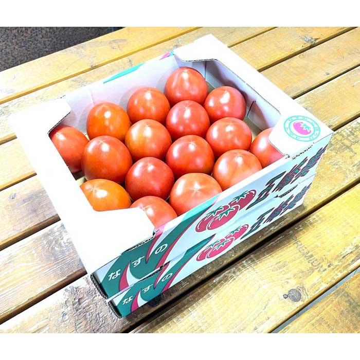 【2026年2月～5月収穫・発送】渡邉農園の「五峰美トマト」2箱 約4kg 栃木県大田原市産