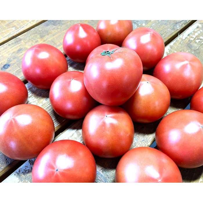 【ふるさと納税】【2026年2月～5月収穫・発送】渡邉農園の「五峰美トマト」2箱 約4kg 栃木県大田原市産 - 画像2