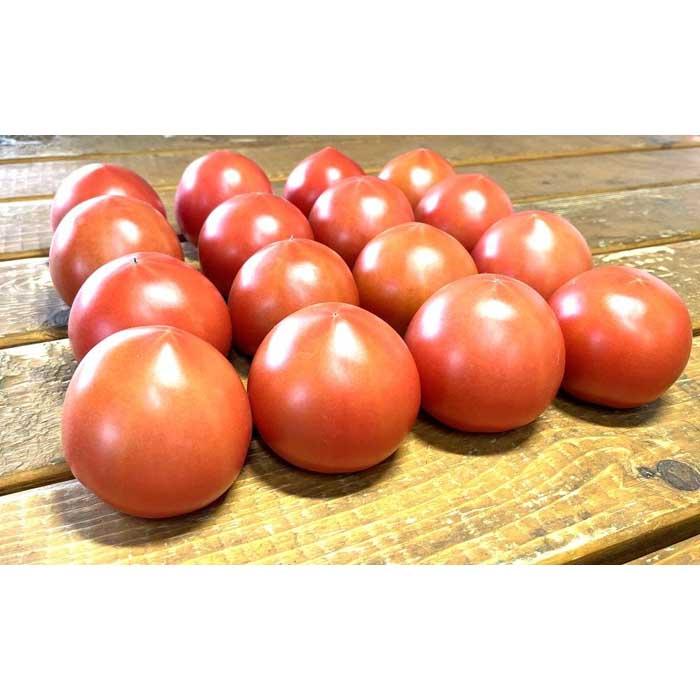 【ふるさと納税】【2026年2月～5月収穫・発送】渡邉農園の「五峰美トマト」2箱 約4kg 栃木県大田原市産 - 画像3