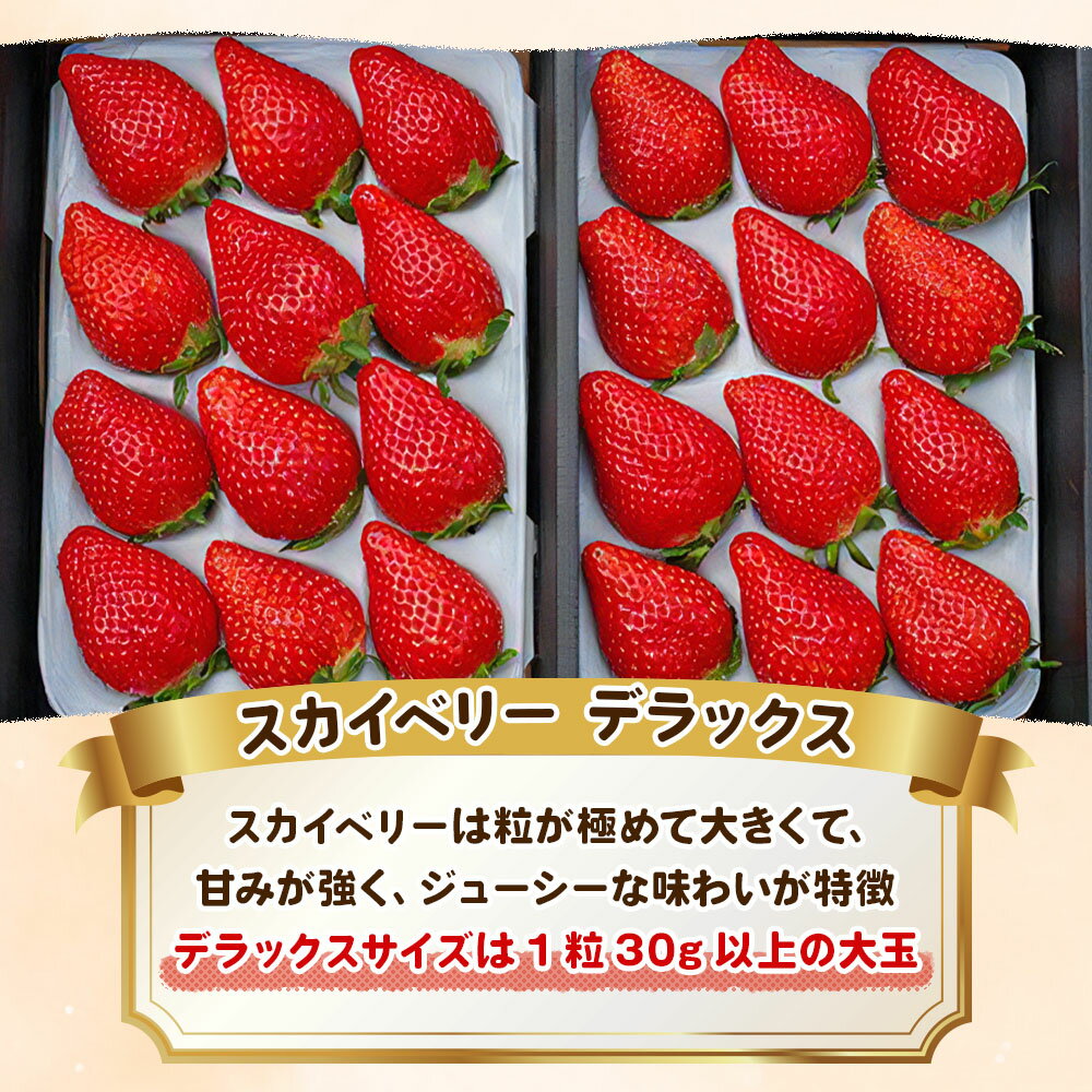【ふるさと納税】澳原いちご農園の完熟朝摘みスカイベリー デラックス＜2025年12月から2026年1月までの期間で収穫・順次発送予定＞｜イチゴ 苺 果物 果実 スイーツ 産地直送 栃木県 矢板市 サムネイル2