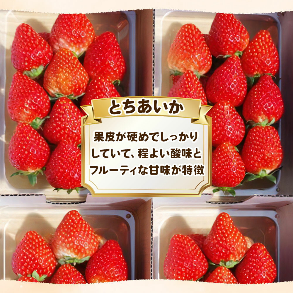 【ふるさと納税】【先行予約】【数量限定】幸せを呼ぶハート型 新品種とちあいか 1120g ＜2025年12月より収穫・順次発送予定＞ | いちご イチゴ 苺 フルーツ ハート形 とちあいか 果物 産地直送 栃木県産 栃木県 矢板市 サムネイル3