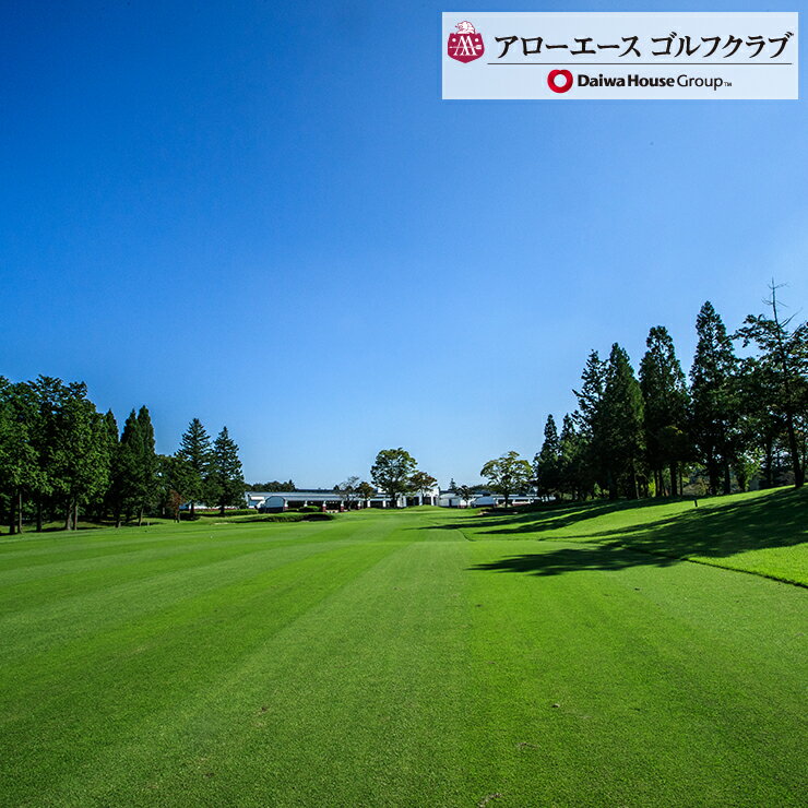 【ふるさと納税】栃木県矢板市の対象ゴルフ場で使える楽天GORAクーポン 寄付額50,000円 [0626] サムネイル3