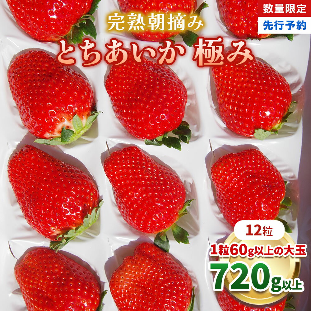 【先行予約】完熟朝摘みとちあいか 極み 12粒 ＜2026年1月から収穫・順次出荷予定＞| 大粒 プレゼント 贈答用 とちあいか いちご フルーツ 果物 栃木県 矢板市