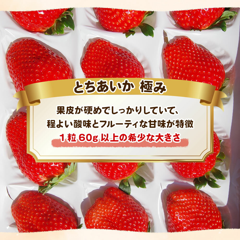【ふるさと納税】【先行予約】完熟朝摘みとちあいか 極み 12粒 ＜2026年1月から収穫・順次出荷予定＞| 大粒 プレゼント 贈答用 とちあいか いちご フルーツ 果物 栃木県 矢板市 サムネイル2