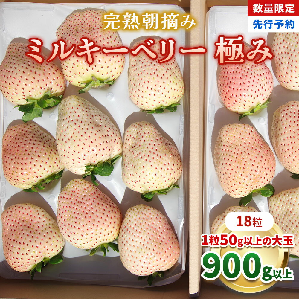 [数量限定] 完熟朝摘みミルキーベリー 極み 18粒《1月初旬～2月初旬に順次発送》 澳原いちご農園 | いちご イチゴ 苺 フルーツ ミルキーベリー 果物 産地直送 栃木県産