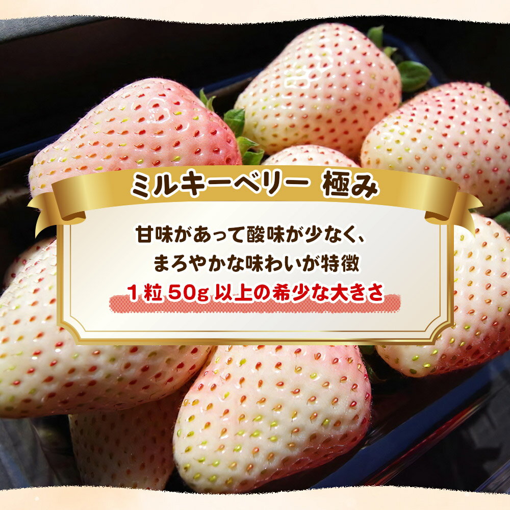 【ふるさと納税】[数量限定] 完熟朝摘みミルキーベリー 極み 18粒《1月初旬～2月初旬に順次発送》 澳原いちご農園 | いちご イチゴ 苺 フルーツ ミルキーベリー 果物 産地直送 栃木県産 サムネイル2