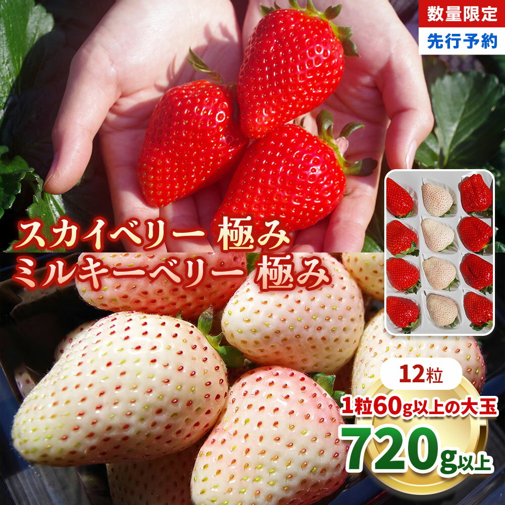 [数量限定] スカイベリー 極み×ミルキーベリー 極み 12粒《1月初旬～2月初旬に順次発送》 澳原いちご農園 | いちご イチゴ 苺 フルーツ スカイベリー ミルキーベリー 果物 産地直送 栃木県産