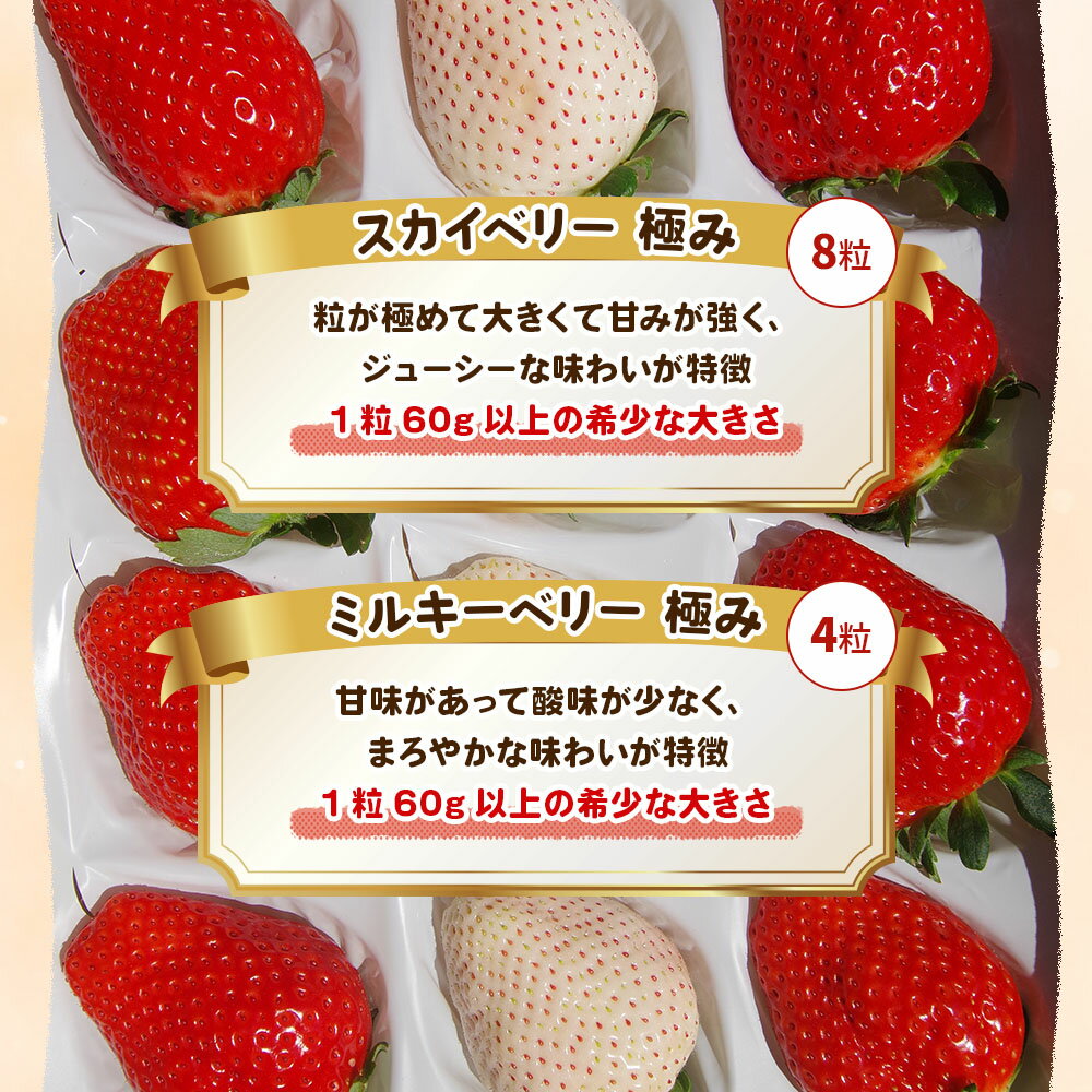 【ふるさと納税】[数量限定] スカイベリー 極み×ミルキーベリー 極み 12粒《1月初旬～2月初旬に順次発送》 澳原いちご農園 | いちご イチゴ 苺 フルーツ スカイベリー ミルキーベリー 果物 産地直送 栃木県産 サムネイル2