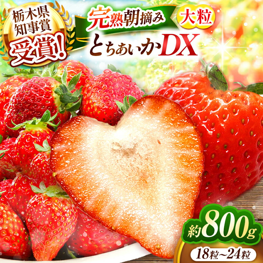 【2026年1月先行予約】澳原いちご農園の完熟朝摘みとちあいか デラックス 400g×2 計800g《1月中旬より順次出荷》｜いちご 苺 フルーツ 果物 栃木県 矢板市