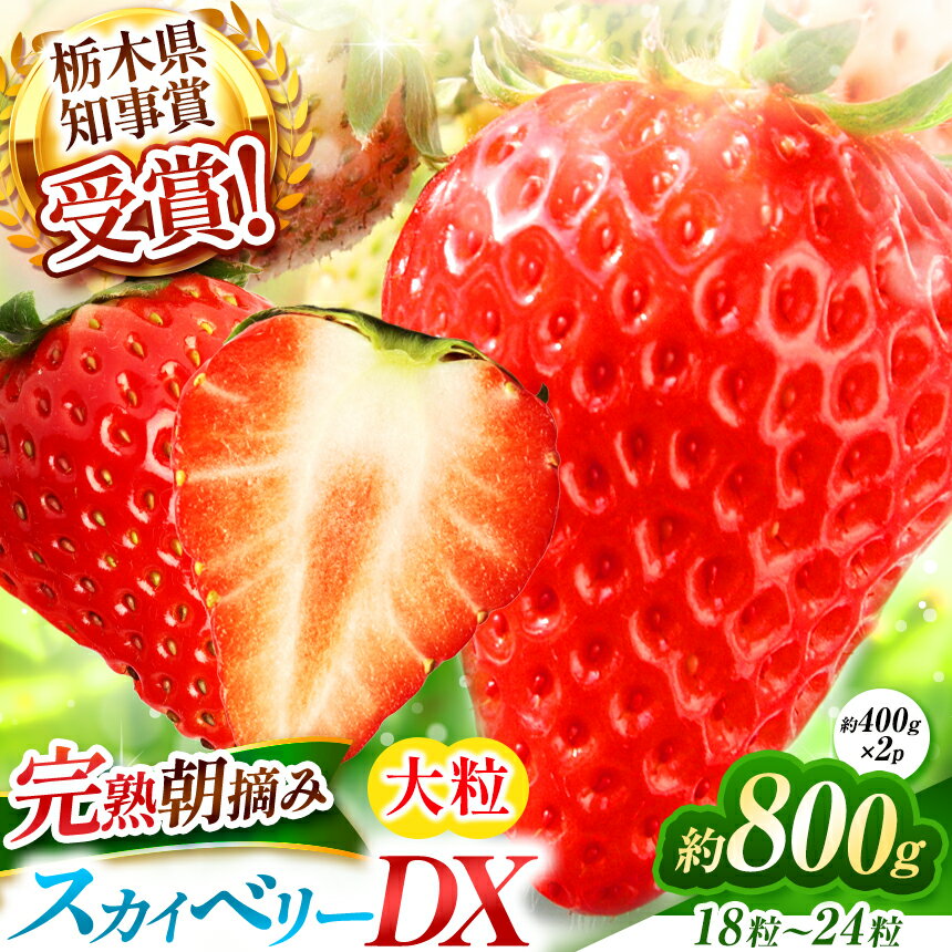 澳原いちご農園の完熟朝摘みスカイベリー デラックス＜2025年12月から2026年1月までの期間で収穫・順次発送予定＞｜イチゴ 苺 果物 果実 スイーツ 産地直送 栃木県 矢板市