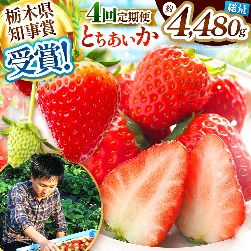 【4カ月連続定期便】【数量限定】澳原いちご農園のとちあいか定期便 (毎月お届け 計4回)＜2025年12月から2026年3月までの期間、収穫・順次発送予定＞｜いちご 苺 フルーツ 果物 産地直送 栃木県 矢板市