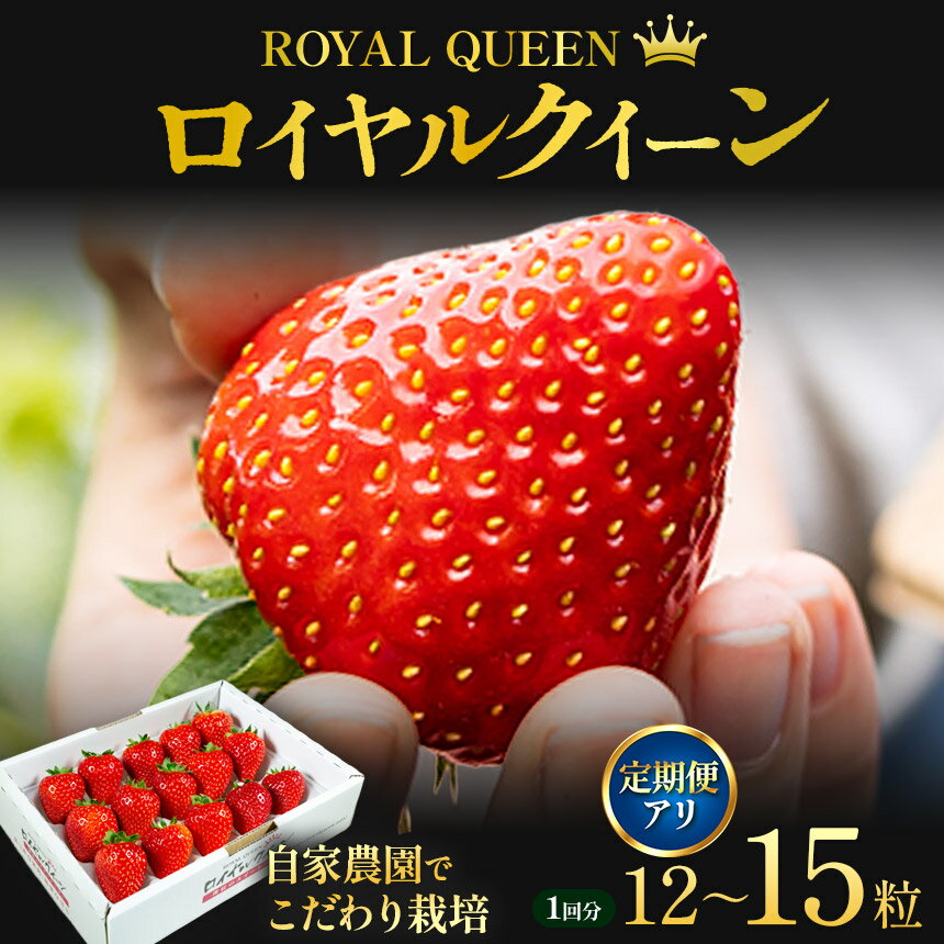 [選べる定期便] [期間限定] 栃木県産 いちご ロイヤルクイーン12～15粒 先行予約 選べる発送月 選べる定期便 3回｜栃木県産 矢板市産 フルーツ スイーツ デザート 果物 果実 産地直送 栃木県 矢板市