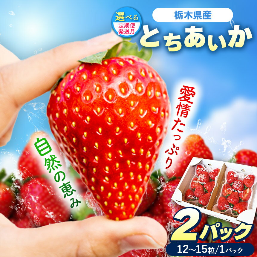 【選べる定期便】[期間限定] 栃木県産 いちご とちあいか 12～15粒 × 2P 先行予約 選べる発送月 定期便3回｜栃木県産 矢板市産 フルーツ スイーツ デザート 果物 果実 産地直送 栃木県 矢板市