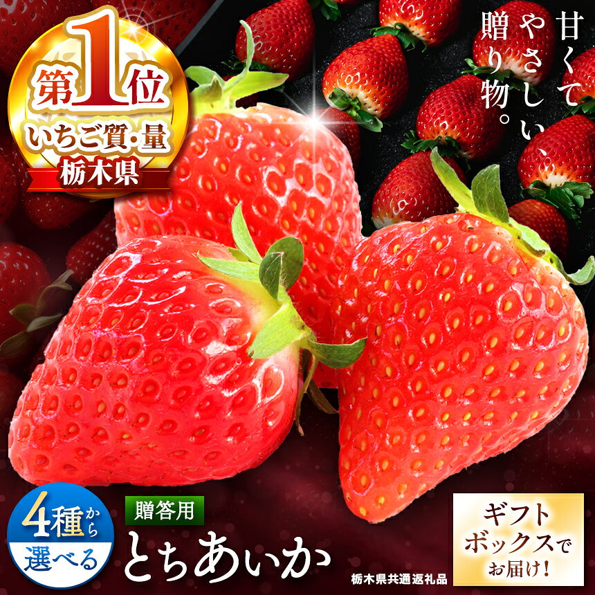【選べるギフトボックス】楽天限定! 選べる贈答用とちあいか ＜2025年12月から2026年3月までの期間で収穫・順次発送予定＞【栃木県共通返礼品】｜選べる 贈答用 先行予約 美味しい ご褒美 苺 果物 イチゴ 甘い スイーツ 先行予約 とちあいか 栃木県 矢板市