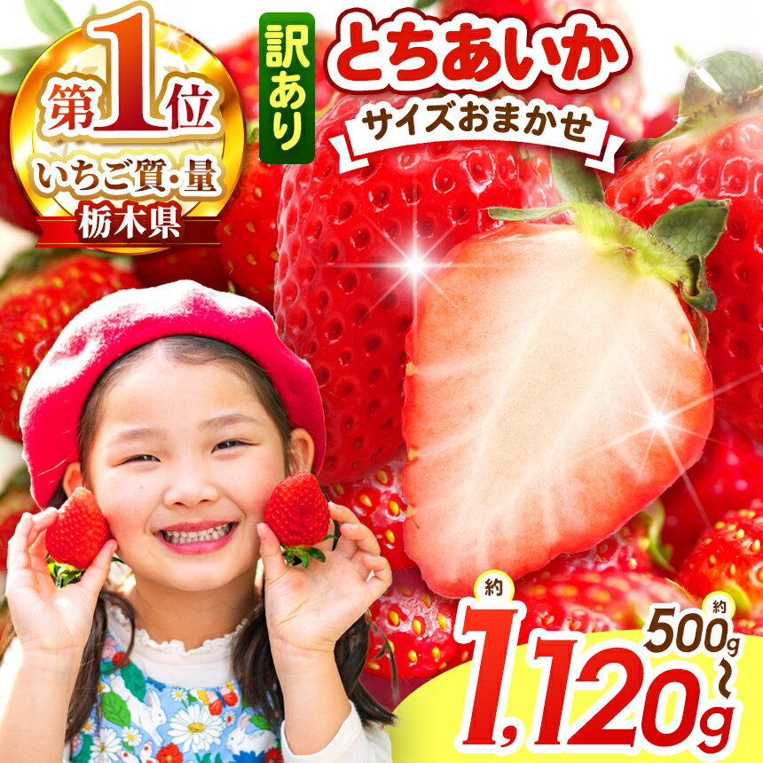 【選べるサイズ】【選べる発送月】楽天限定! 訳あり とちあいか 小粒 ＜2026年1月から2026年4月までの期間で収穫・順次発送予定＞【栃木県共通返礼品】｜選べる ご褒美 苺 果物 イチゴ 甘い スイーツ 先行予約 とちあいか 栃木県 矢板市
