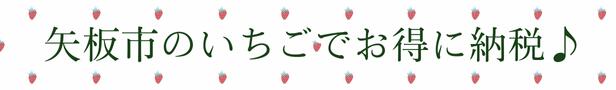 【ふるさと納税】【選べる定期便】[期間限定] 栃木県産 いちご とちあいか 12～15粒 × 2P 先行予約 選べる発送月 定期便3回｜栃木県産 矢板市産 フルーツ スイーツ デザート 果物 果実 産地直送 栃木県 矢板市 サムネイル3
