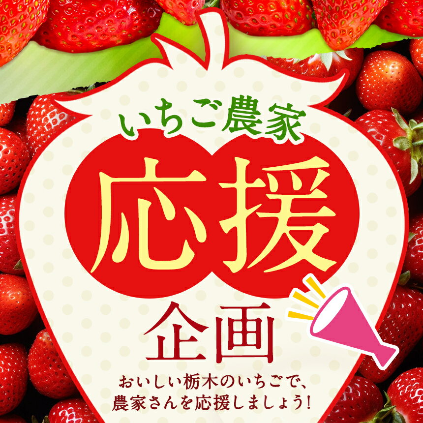 【ふるさと納税】 日本No.1 いちご 生産量 栃木 人気 | 選べる 内容量 発送回数 用途 | 栃木限定 とちあいか 500g ~ 2kg 先行予約 定期便 2回 3回｜旬 訳あり 家庭用 オススメ フルーツ 果物 果実 産地直送 栃木県 矢板市 栃木県共通返礼品 ichigo ストロベリー 期間限定 サムネイル2