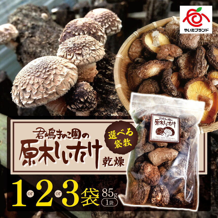 乾燥しいたけ | 1袋 2袋 3袋 | 徳用 家庭用 数量限定 国産 原木 乾燥しいたけ 肉厚しいたけ しいたけ キノコ 原木栽培 きのこ 国産きのこ 天然 野菜 無農薬 低カロリー 料理素材 おせち 出汁 お取り寄せ 栃木県 矢板市