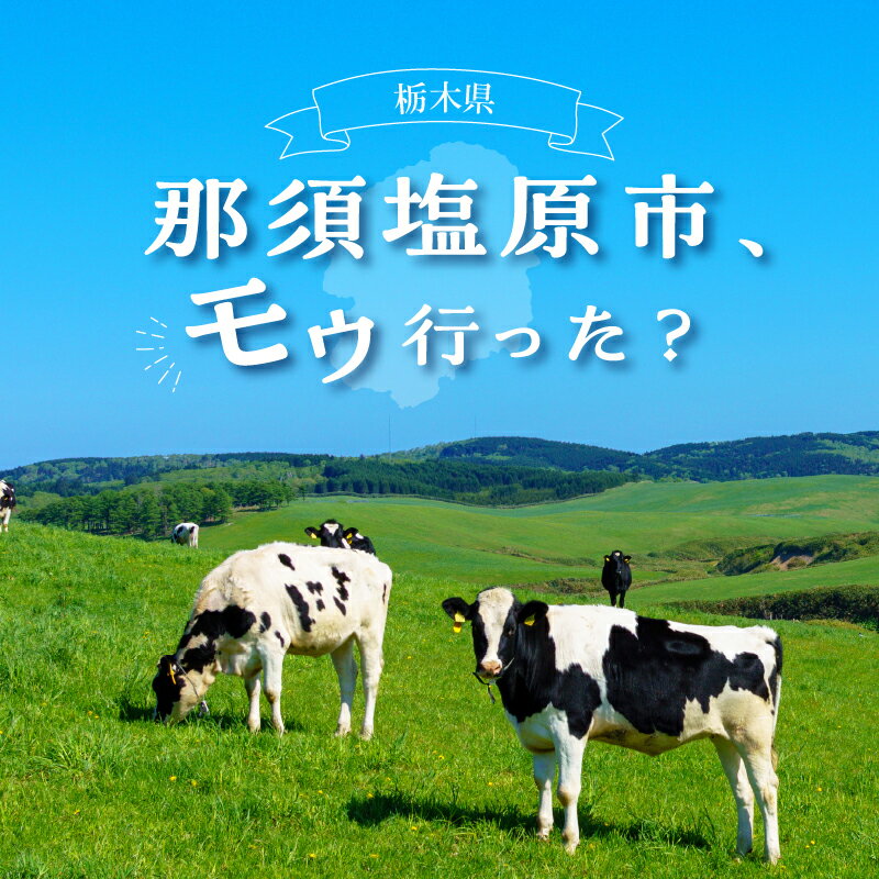 【ふるさと納税】楽天限定 栃木県那須塩原市の対象施設で使える 楽天トラベルクーポン 寄附額100,000円 旅行 宿泊 旅行券 宿泊券 ホテル 旅館 30,000円分 温泉 観光 グルメ レジャー リゾート チーズ 和牛 牛乳 フルーツ アクティビティ クーポン サムネイル2