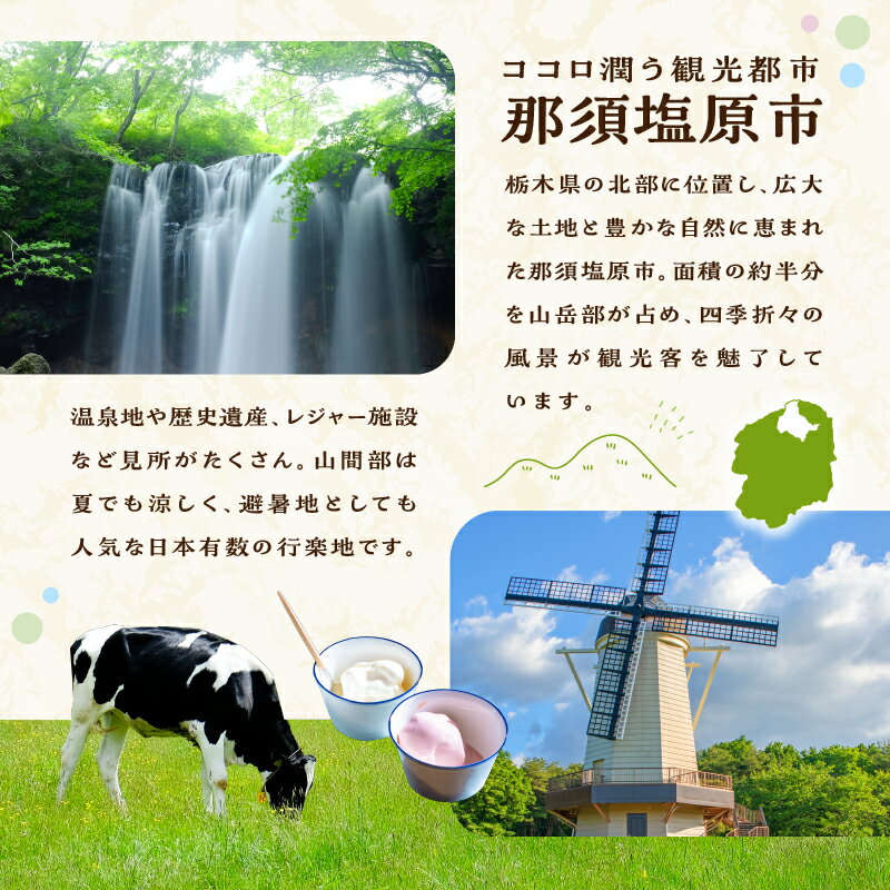 【ふるさと納税】楽天限定 栃木県那須塩原市の対象施設で使える 楽天トラベルクーポン 寄附額100,000円 旅行 宿泊 旅行券 宿泊券 ホテル 旅館 30,000円分 温泉 観光 グルメ レジャー リゾート チーズ 和牛 牛乳 フルーツ アクティビティ クーポン サムネイル3