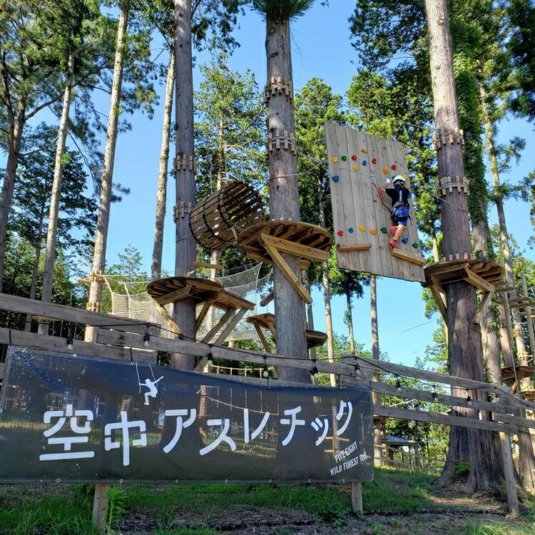 【ふるさと納税】58ロハスクラブ　空中アスレチック『Wild Forest One』利用券 サムネイル3