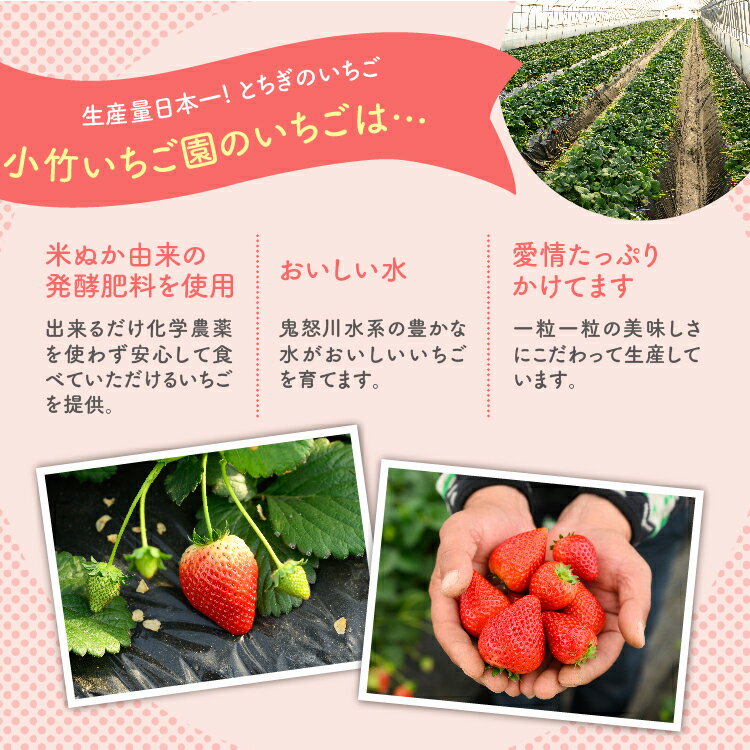 【ふるさと納税】《数量限定》大満足4種食べ比べセット（とちおとめ、ミルキーベリー、とちあいか、スカイベリー）400g×2パック 800g ｜いちご イチゴ 苺 先行予約 栃木県 果物 くだもの フルーツ 新鮮 贈答 ギフト 高級 食べ比べ ※2026年2月上旬～4月中旬頃に順次発送予定 サムネイル3