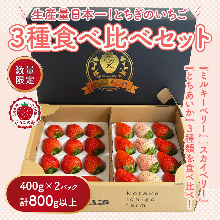 《数量限定》満足3種食べ比べセット（ミルキーベリー、スカイベリー、とちあいか）400g×2パック 800g｜いちご イチゴ 苺 先行予約 栃木県 とちぎ 果物 くだもの フルーツ 新鮮 贈答 ギフト 高級 食べ比べ ※2026年2月上旬～4月中旬頃に順次発送予定