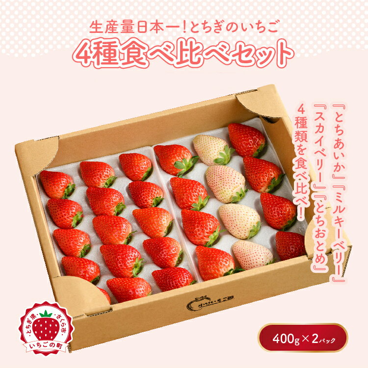 《数量限定》大満足4種食べ比べセット（とちおとめ、ミルキーベリー、とちあいか、スカイベリー）400g×2パック 800g ｜いちご イチゴ 苺 先行予約 栃木県 果物 くだもの フルーツ 新鮮 贈答 ギフト 高級 食べ比べ ※2026年2月上旬～4月中旬頃に順次発送予定