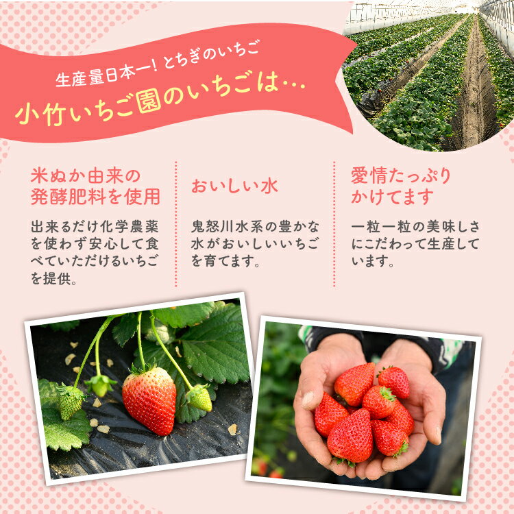 【ふるさと納税】《数量限定》【先行予約】いちご とちあいかセット 270g×4パック（1.08kg以上）｜いちご イチゴ 苺 先行予約 栃木県 果物 くだもの フルーツ とちあいか 新鮮 贈答 ギフト ※2026年1月上旬～4月中旬頃に順次発送予定 サムネイル3