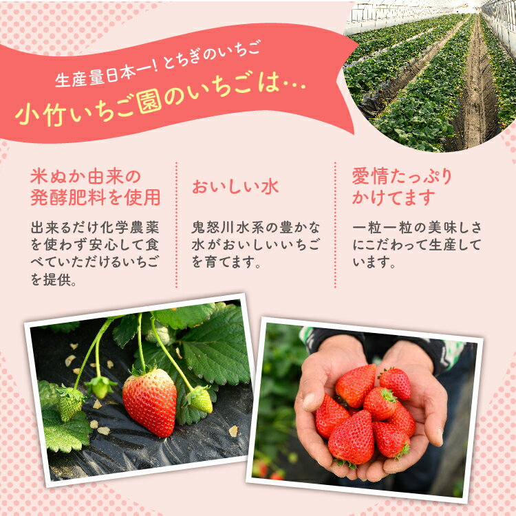 【ふるさと納税】《数量限定》【先行予約】いちご とちあいか・スカイベリーセット 270g×4パック（1.08kg以上） ｜いちご イチゴ 苺 先行予約 栃木県 果物 フルーツ とちあいか スカイベリー 新鮮 贈答 ギフト 高級 食べ比べ ※2026年1月上旬～4月中旬頃に順次発送予定 サムネイル3