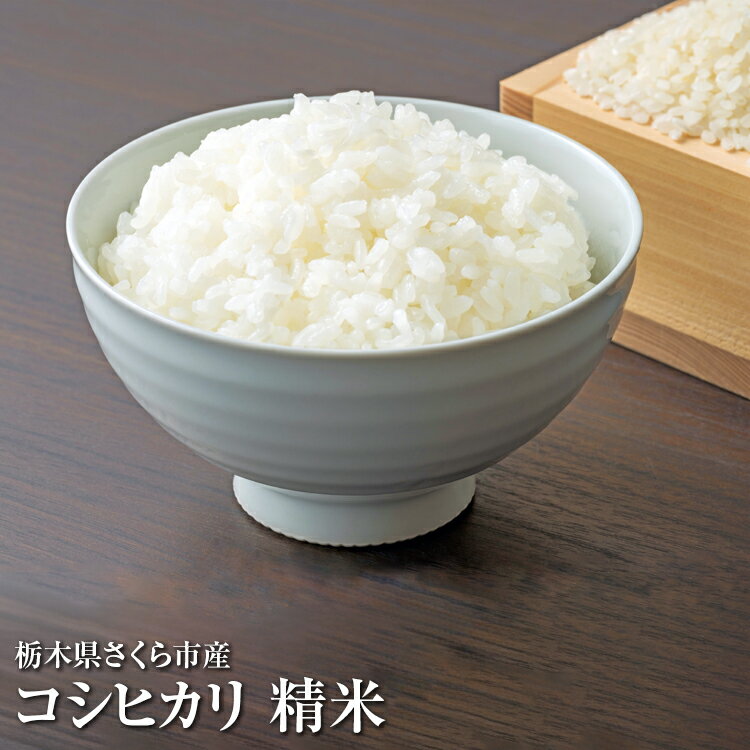 ＼選べる内容量／令和7年度　栃木県さくら市産コシヒカリ｜米　白米　コメ　こめ　こしひかり　菜っ葉館※2025年10月中旬頃から順次発送予定
