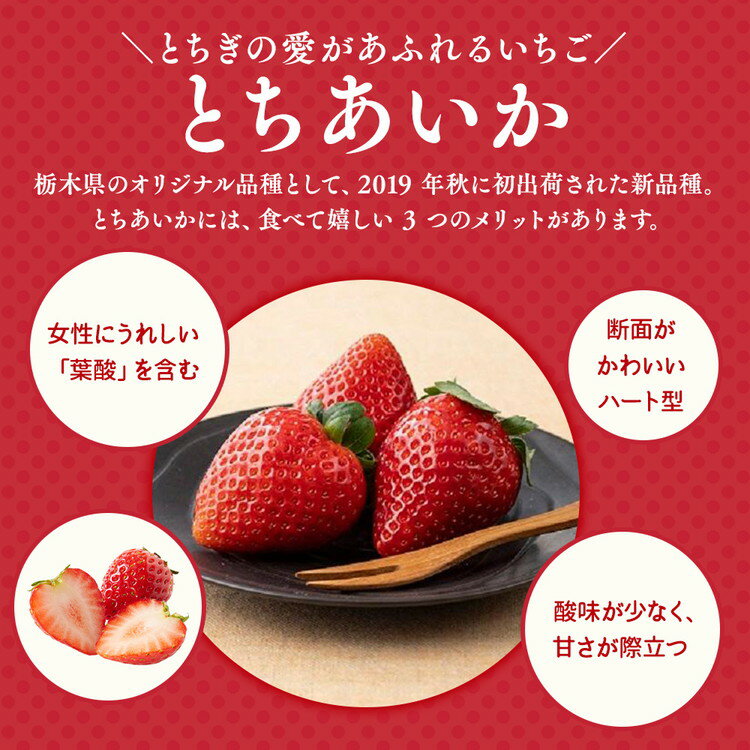 【ふるさと納税】＼選べる内容量／栃木おいしい会のいちご（とちあいか）260g×2パック（520g）・260g×4パック（1040g）｜栃木県共通返礼品 栃木県産 ※離島への配送不可 ※2026年1月上旬～4月下旬頃に順次発送予定 サムネイル2