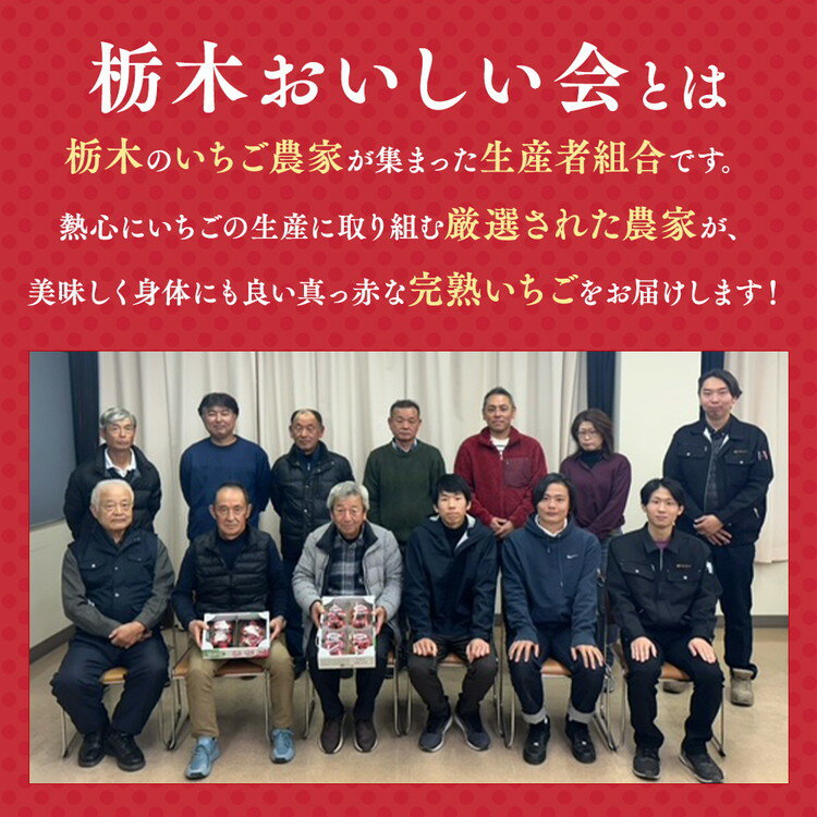 【ふるさと納税】＼選べる内容量／栃木おいしい会のいちご（とちあいか）260g×2パック（520g）・260g×4パック（1040g）｜栃木県共通返礼品 栃木県産 ※離島への配送不可 ※2026年1月上旬～4月下旬頃に順次発送予定 サムネイル3