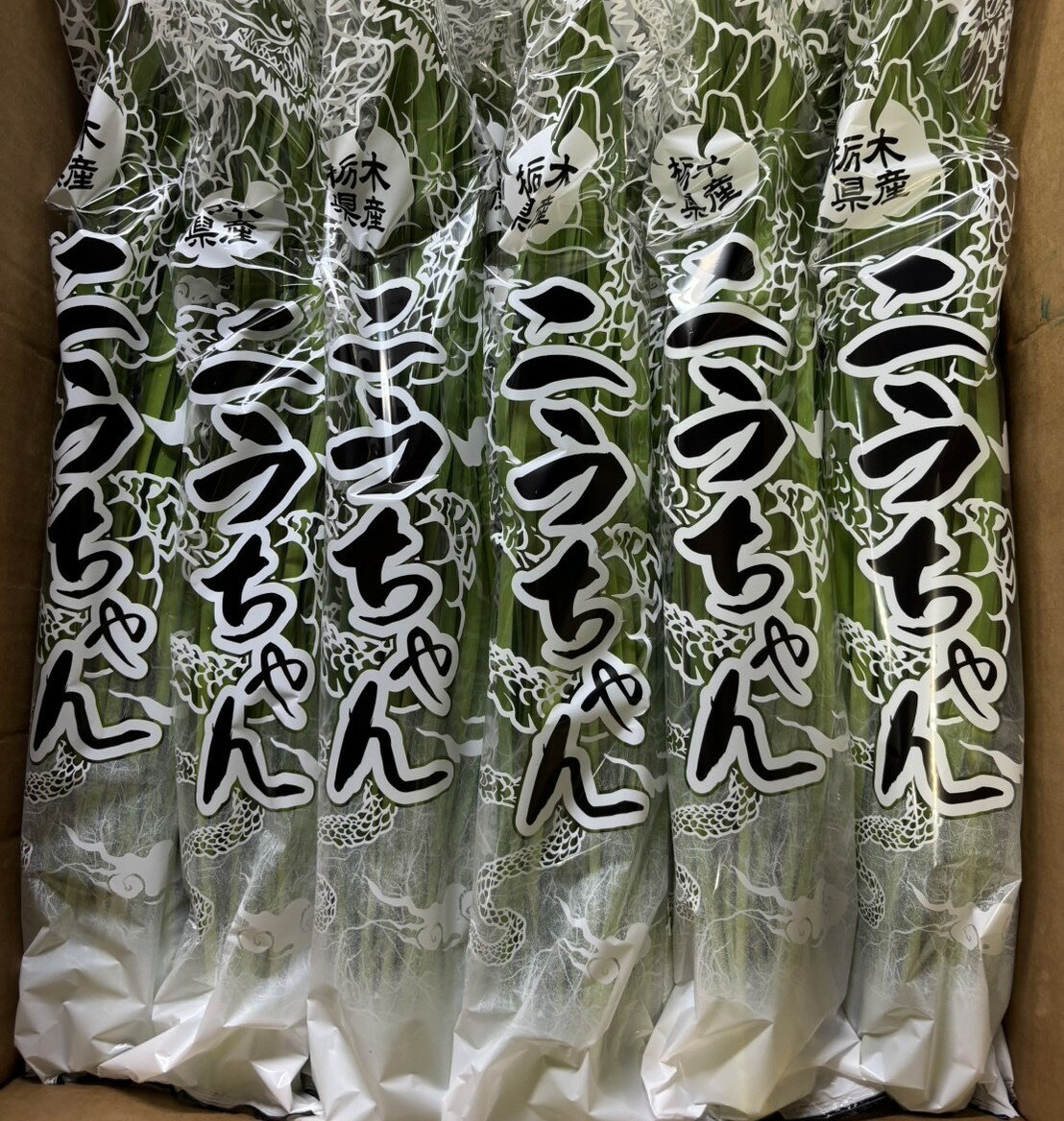 【ふるさと納税】＼選べる内容量／栃木県産こだわりニラ100g×10束 20束 30束 50束 100束 ｜ さくら市 にら 韮 野菜　国産 - 画像2