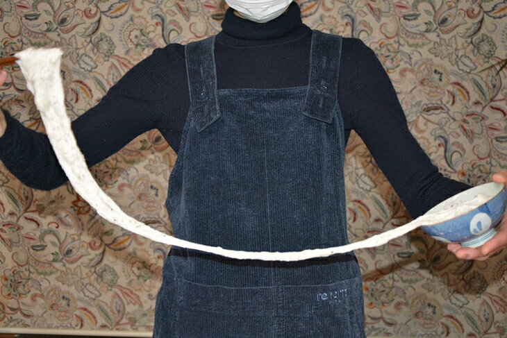 【ふるさと納税】さくらブランド認証品　えみの自然薯　1本（500g以上）山芋 とろろ 国産 健康 ※2025年11月下旬頃より順次発送予定 - 画像2