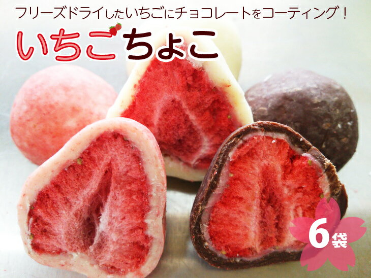 いちご ちょこ 6袋 ｜ 苺 イチゴ チョコ スイーツ ギフト 送料無料※着日指定不可