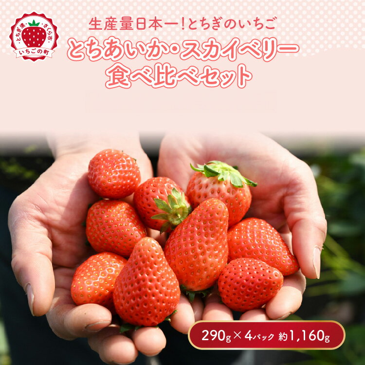 《数量限定》いちご厳選！さくら市産 とちあいか・スカイベリー食べ比べセット（290g×4パック） ｜いちご イチゴ 苺 先行予約 栃木県 果物 フルーツ とちあいか スカイベリー 新鮮 贈答 ギフト 高級 食べ比べ ※2026年1月中旬～3月下旬頃に順次発送予定