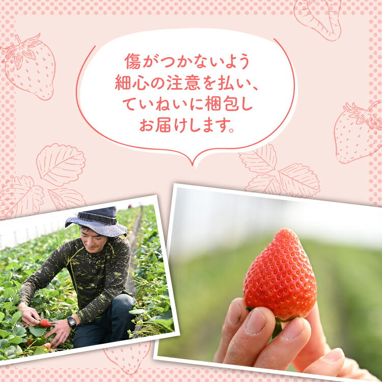 【ふるさと納税】＼選べる内容量／《数量限定》【先行予約】いちご 厳選！さくら市産 とちあいか 290g×2パック・290g×4パック ※2026年1月中旬～3月下旬頃に順次発送予定 サムネイル3