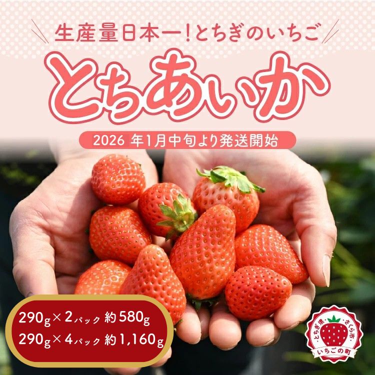 ＼選べる内容量／《数量限定》【先行予約】いちご 厳選！さくら市産 とちあいか 290g×2パック・290g×4パック ※2026年1月中旬～3月下旬頃に順次発送予定