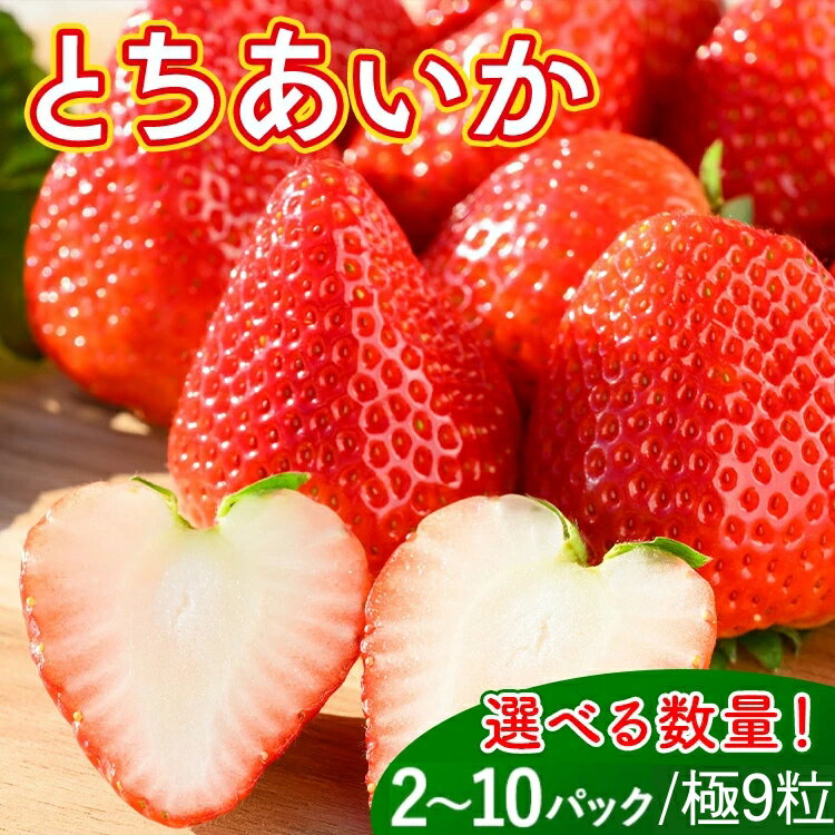 ＼選べる内容／《数量限定》いちご（とちあいか） 290g×2～10パック 580g～2.9kg以上・（とちあいか　極）9粒 600g以上｜先行予約 数量限定 栃木県 果物 くだもの フルーツ 苺 イチゴ ※2025年11月下旬～2026年3月下旬頃に順次発送予定