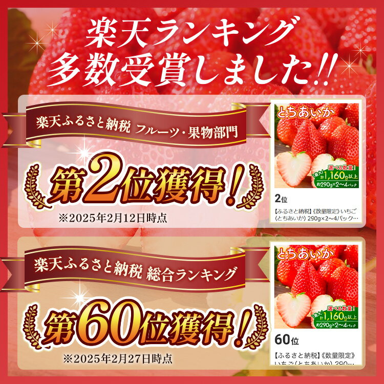 【ふるさと納税】＼選べる内容／《数量限定》いちご（とちあいか） 290g×2～10パック 580g～2.9kg以上・（とちあいか　極）9粒 600g以上｜先行予約 数量限定 栃木県 果物 くだもの フルーツ 苺 イチゴ ※2025年11月下旬～2026年3月下旬頃に順次発送予定 サムネイル2
