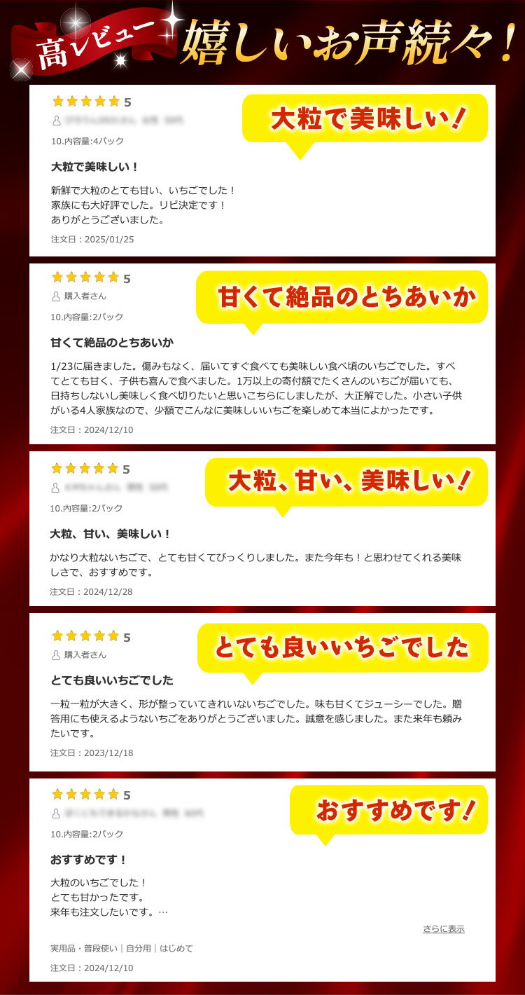 【ふるさと納税】＼選べる内容／《数量限定》いちご（とちあいか） 290g×2～10パック 580g～2.9kg以上・（とちあいか　極）9粒 600g以上｜先行予約 数量限定 栃木県 果物 くだもの フルーツ 苺 イチゴ ※2025年11月下旬～2026年3月下旬頃に順次発送予定 サムネイル3