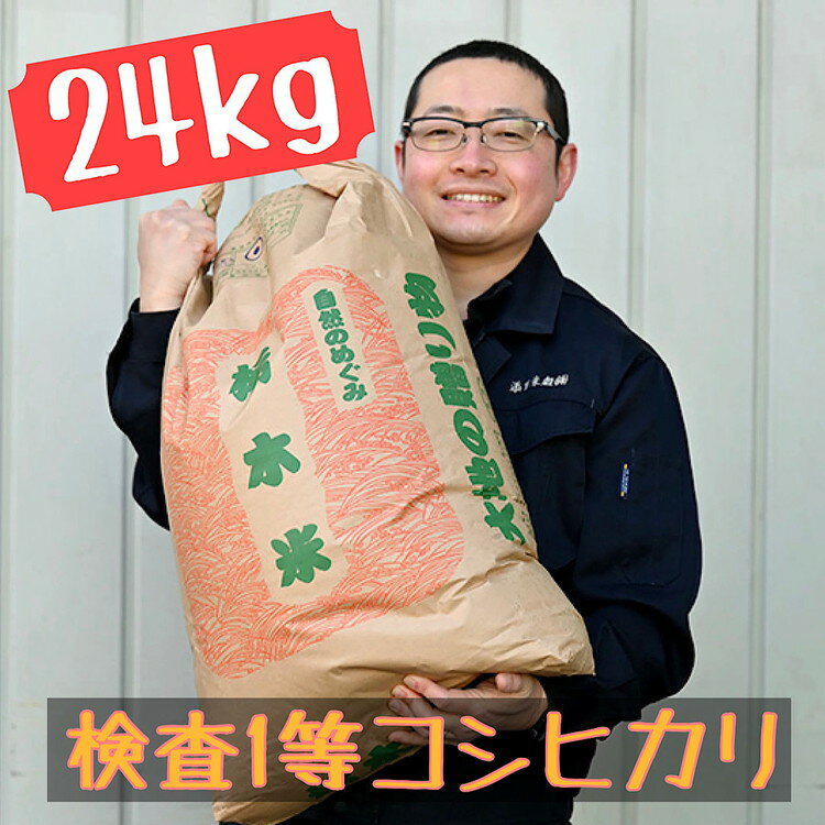 令和7年栃木県産 コシヒカリ 玄米24kg【検査1等米】 ※離島への配送不可