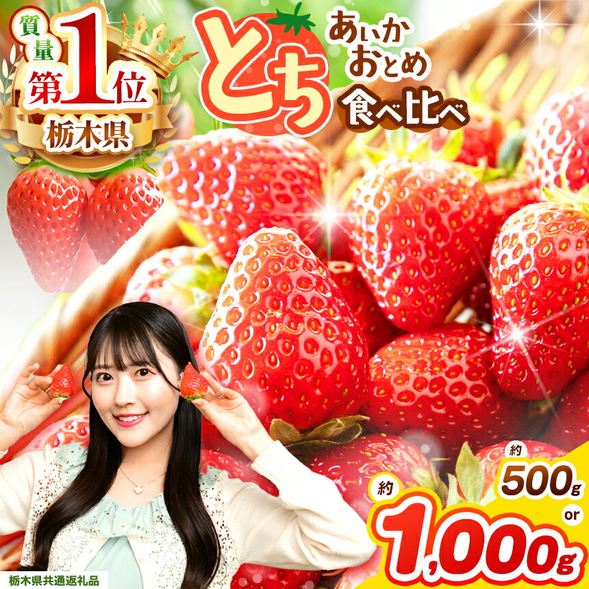 苺 いちご 美味比べ とちあいか とちおとめ 食べ比べ 500g 1000g【先行予約】 | 苺 王国 日本一 家庭用 大粒 秀品 おとめ あいか 食べ比べ 数量 限定 ストロベリー 果物 フルーツ 限定品種 送料無料 栃木県共通返礼品 栃木県 下野市