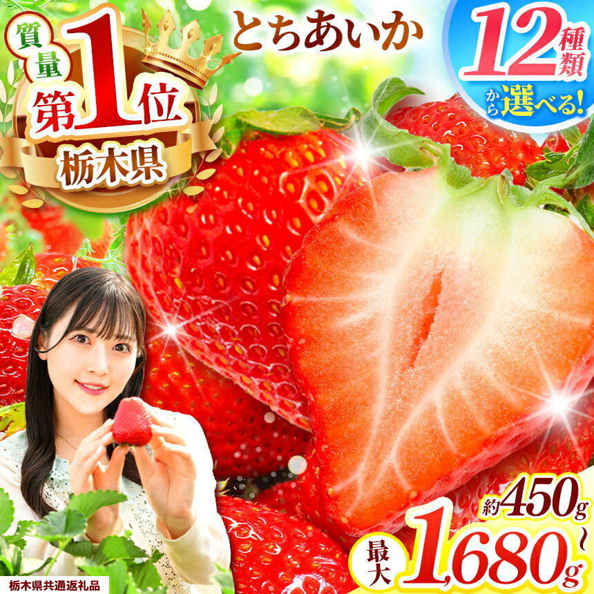 いちご 先行予約 最旬とちあいか ご褒美 訳あり 贈答用 いちご | いちご イチゴ フルーツ 果物 旬 とちあいか サイズお任せ 小粒 訳ありいちご 贈答用 美味しい 食べ比べ 特産品 ふるさと 納税 送料無料 栃木県 下野市 【栃木県共通返礼品】