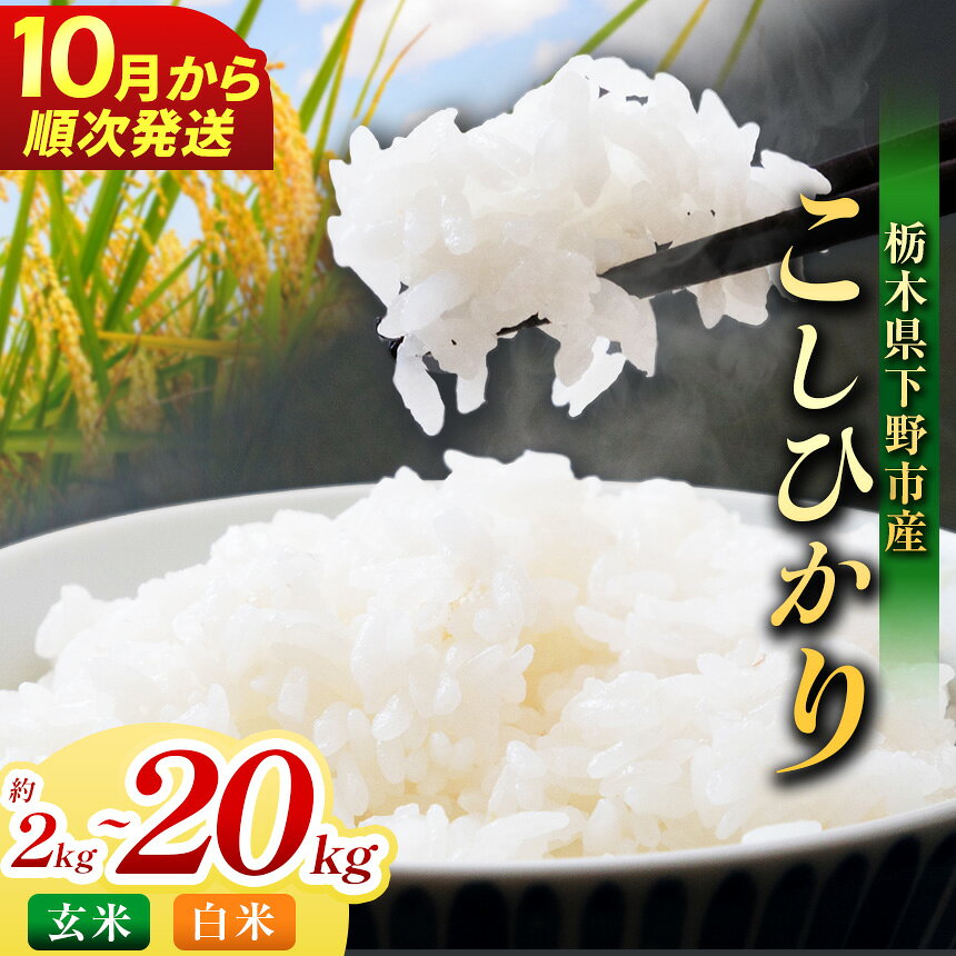 【先行予約】【2026年10月以降発送】米 お米 下野市産 コシヒカリ 新米 2~20kg 選べる内容量 玄米 白米 | こめ コメ 白米 精米 こしひかり コシヒカリ 新米 栃木米 令和8年度米 令和8年 2026年度 ブランド米 栃木県 特産品 送料無料 栃木県 下野市