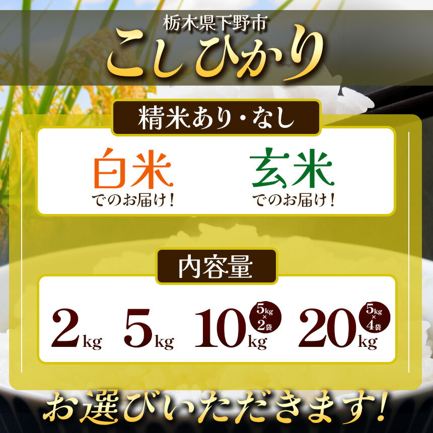【ふるさと納税】【先行予約】【2026年10月以降発送】米 お米 下野市産 コシヒカリ 新米 2~20kg 選べる内容量 玄米 白米 | こめ コメ 白米 精米 こしひかり コシヒカリ 新米 栃木米 令和8年度米 令和8年 2026年度 ブランド米 栃木県 特産品 送料無料 栃木県 下野市 - 画像2