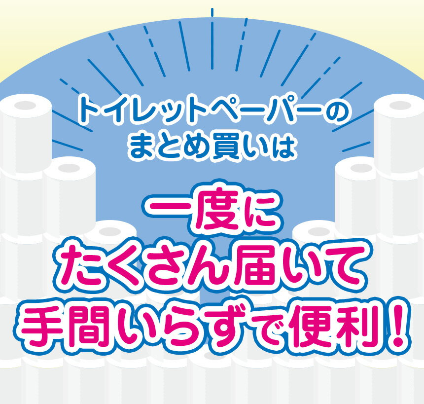 【ふるさと納税】トイレットペーパー シングル ダブル 選べる 種類 内容量 定期回数 限定 | トイレット ペーパー 天然 やさしい 肌触り 日用品 ふるさと 納税 備蓄 防災 エコ 無香料 香料不使用 常備品 消耗品 生活用品 まとめ買い お買い得 大容量 栃木県 下野市 送料無料 - 画像3